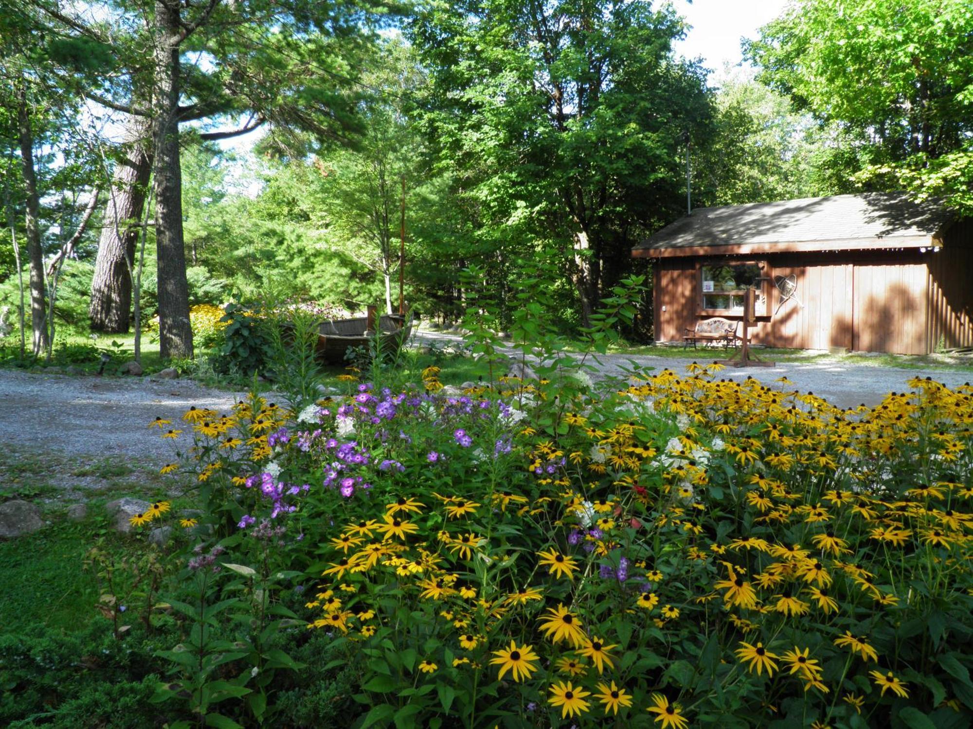 Westwind Inn On The Lake Buckhorn Εξωτερικό φωτογραφία